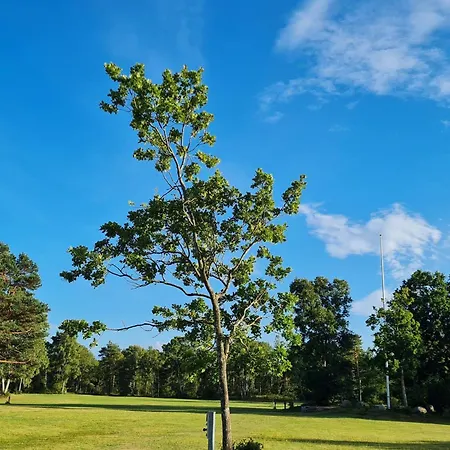 8 Person In Hadsund-by Traum Σπίτι διακοπών Odde