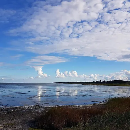 8 Person In Hadsund-by Traum
